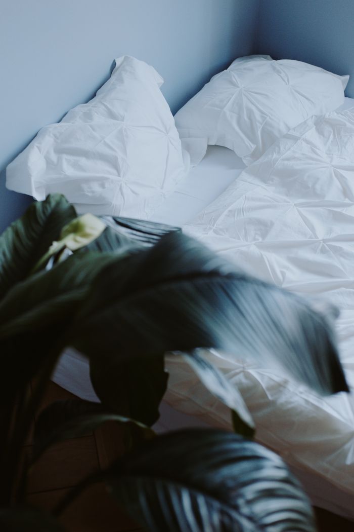 A serene bedroom featuring crisp white linens and a lush green plant for a calming ambiance.
